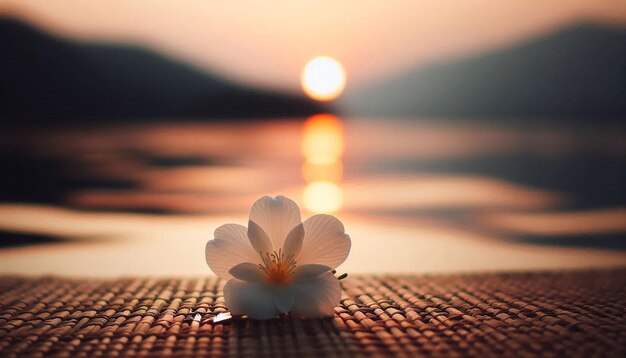 Photo a flower on a mat with the sun behind it