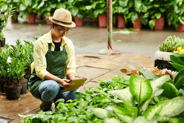 Flower Nursery Worker Checking Plants