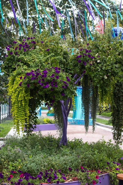 flower park with a bench Landscaping decorated park in the city