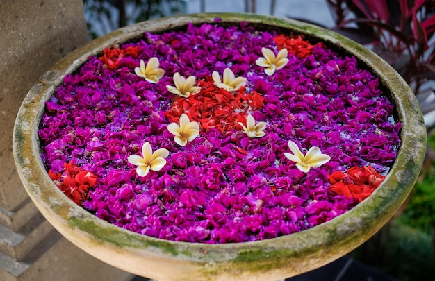 Flower petals in a bowl