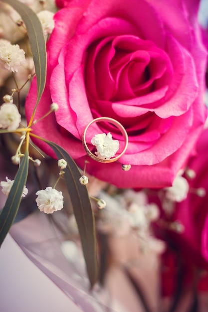 Flower pink rose. Petals blooming beautiful flower. Gift to the girl. Beautiful