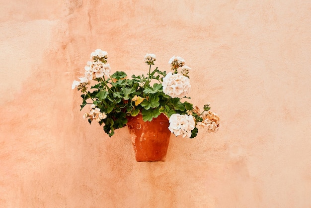 Flower pot hanging on a wall