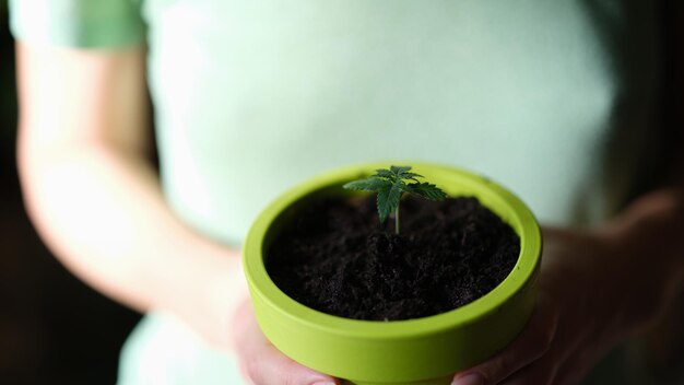 Flower pot with sprout in hands of woman new beginning earth care and gardening concept shallow