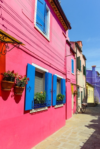 Flower pots decorate on the walls and blue windows of the pink house