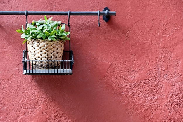 Flower pots decorating on red wall in the old town of Marbella