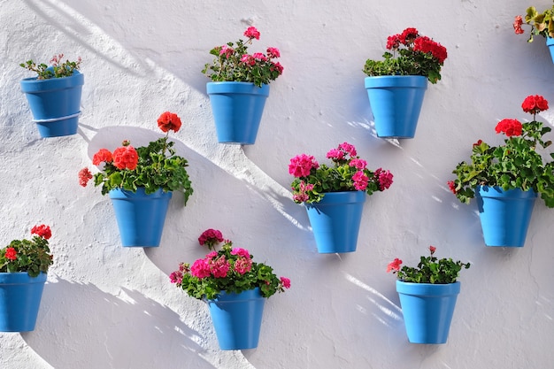 Flower pots decorating on white wall in the old town of Marbella