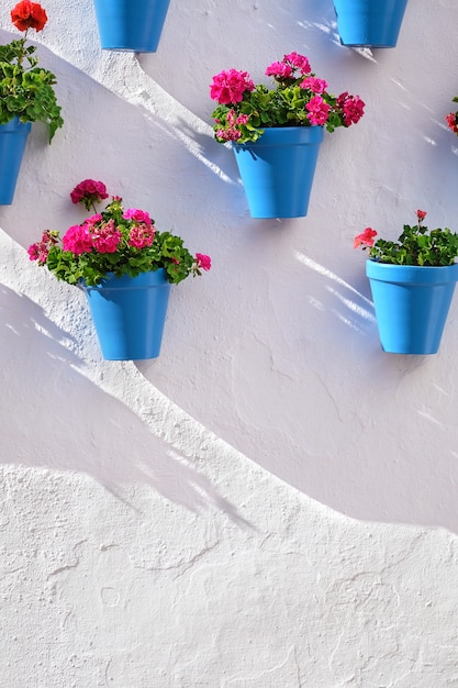 Flower pots decorating on white wall in the old town of Marbella