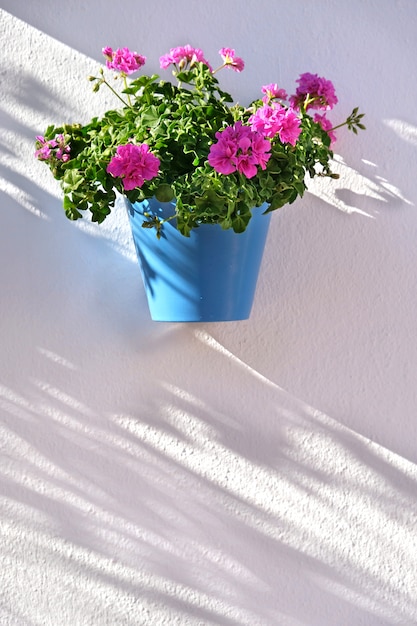 Flower pots decorating on white wall in the old town of Marbella