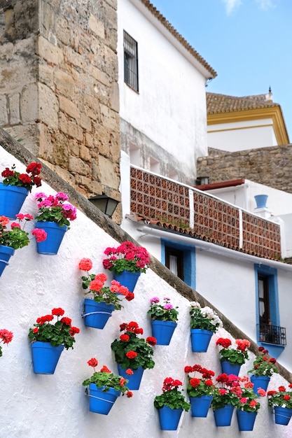 Flower pots decorating on white wall in the old town of Marbella