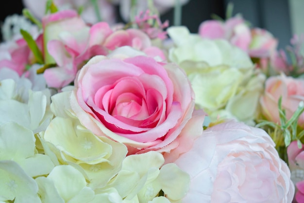 Flower spring nature pink blossom tree