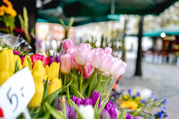 Flower stall on Plac Solny square near central Market square in Wroclaw