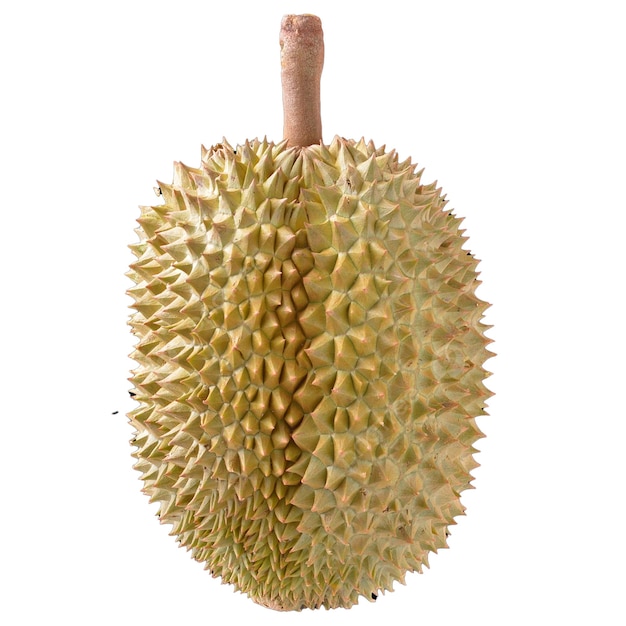 a flower that has the word durian on it