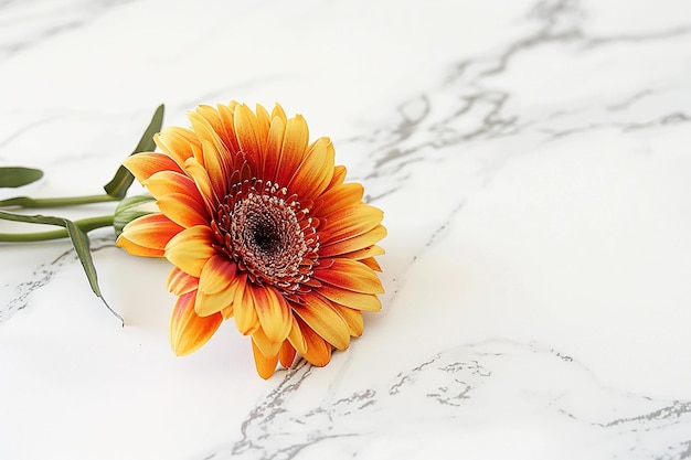 a flower that is outside with the sun shining through the leaves