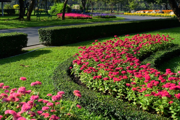 Flower and tree gardens of various colors and varieties.