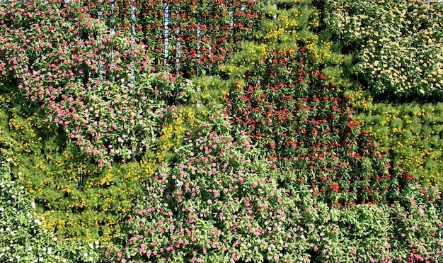 flower wall vertical garden