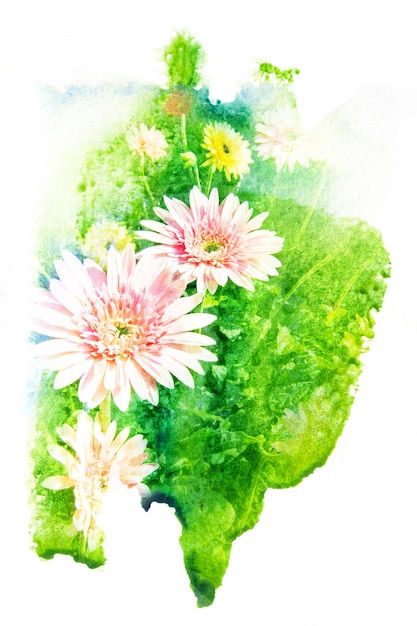 Flower watercolor illustration.