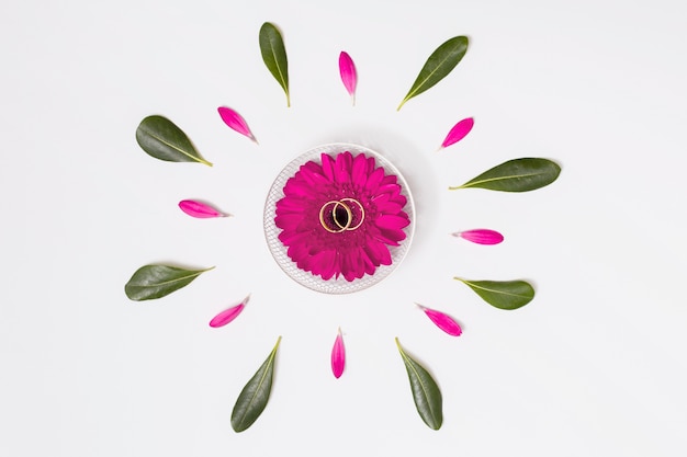 Photo flower with rings between petals and foliage