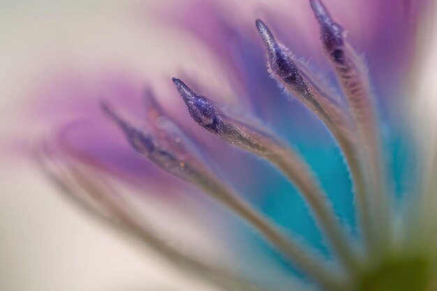 Photo a flower with water drops on it and the top half of it