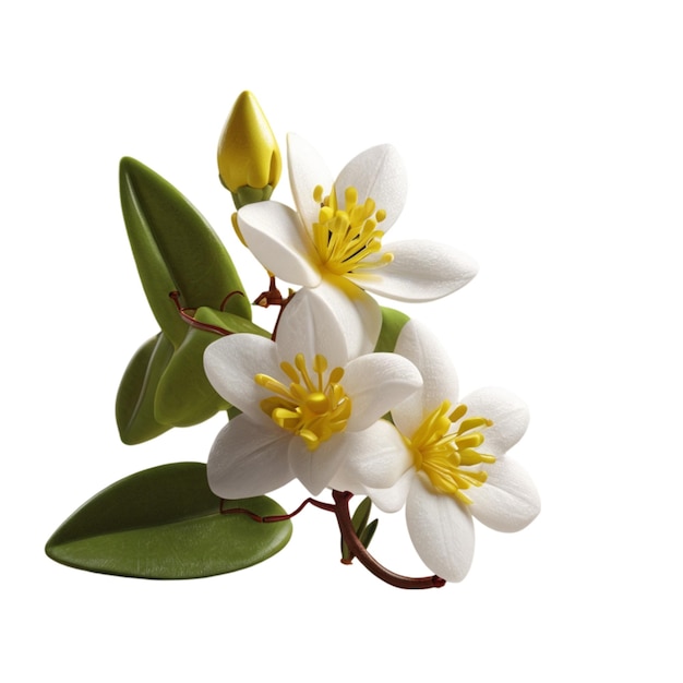 a flower with yellow petals and a white background