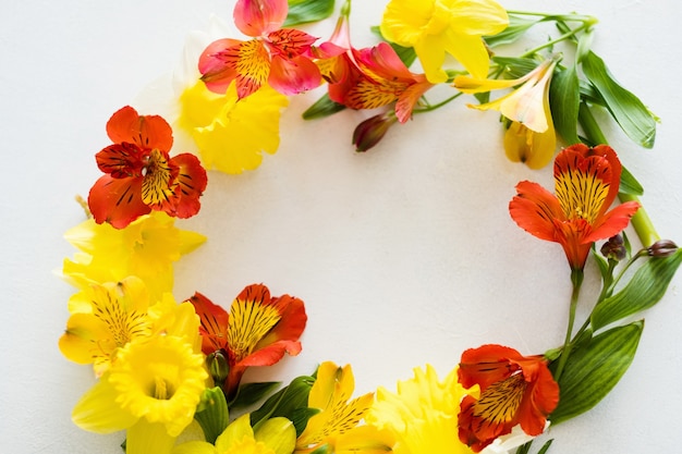 Flower wreath on white background.