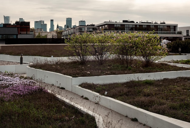 Flowerbeds on the roof on a background of skyscrapers