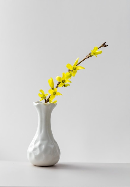 Flowering yellow branch in vase on Bright background vertical frame