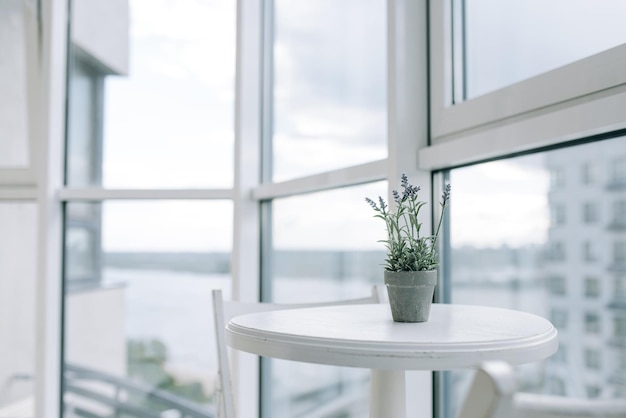 Flowerpot with a flower on the table by the window on the high floor of the apartment