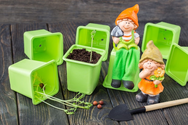 flowerpots for seedlings sprouted grain in a flowerpot a shovel and two figurines