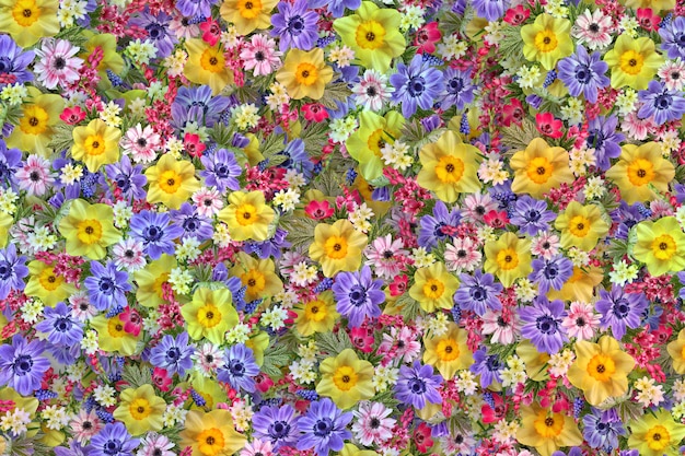 Flowers Background Flowers Picture