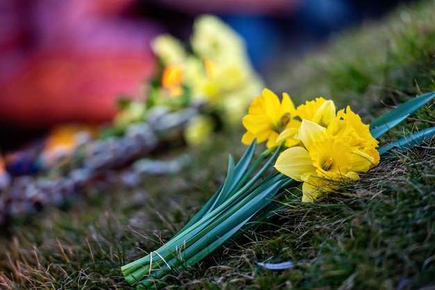 Flowers and candles on streets for peace in Ukraine symbolising to stop the war closeup