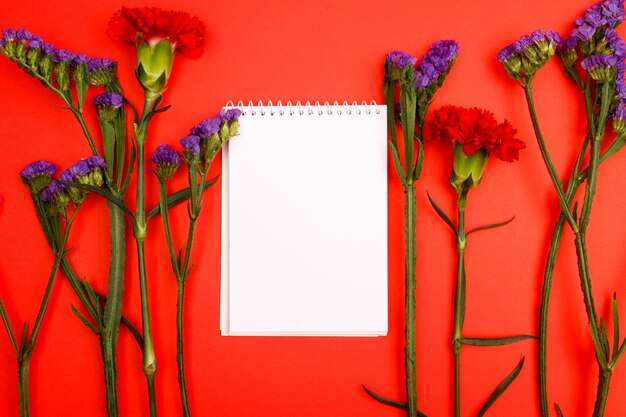 Flowers composition &amp; beautiful blooming flowers on paper background