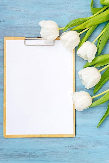 Flowers composition Delicate white tulip flowers on blue wooden background Valentine's day Mother's