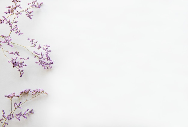 Flowers composition Frame made of dried flowers on white background Flat lay top view