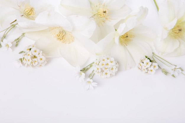 Flowers composition Frame made of pink peony flowers on white background Flat lay top view copy space