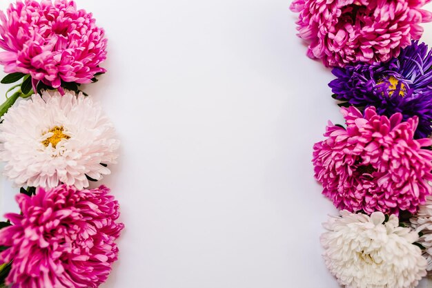 Flowers composition Violet and purple flowers on white background Frame made of flowers Valentines day mothers day womens day spring summer concept Flat lay top view copy space