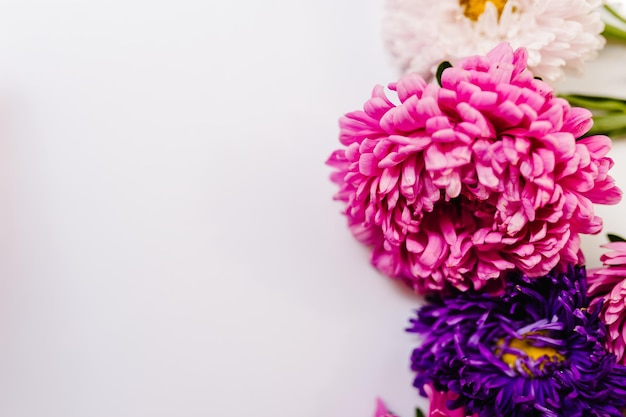 Flowers composition Violet and purple flowers on white background Frame made of flowers Valentines day mothers day womens day spring summer concept Flat lay top view copy space