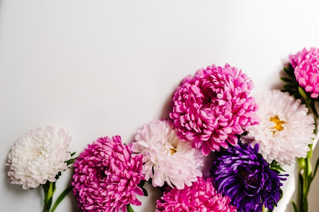 Flowers composition Violet and purple flowers on white background Spring easter concept Summer delicate blooming leaves and blossoming flowers pastel and soft bouquet floral card