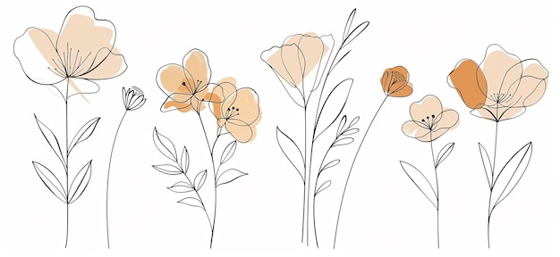 Photo flowers drawn on a white background