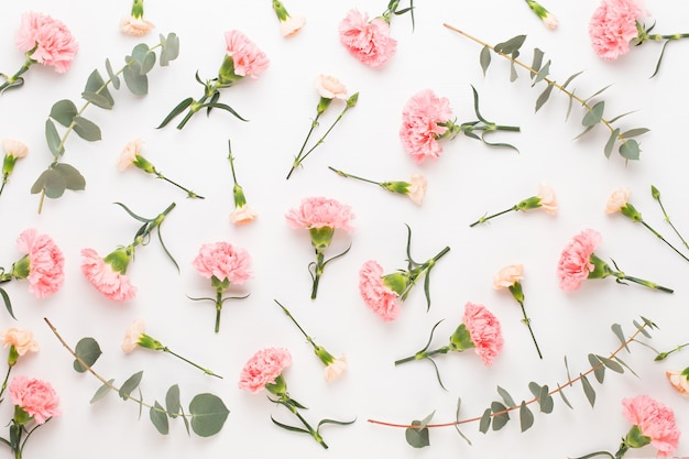 Flowers and eucaaliptus composition. Pattern made of various colorful flowers on white background. 