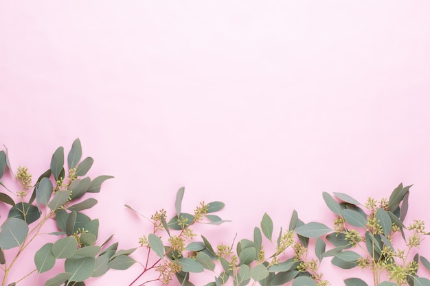 Flowers and eucalyptus composition made of various colorful flowers on white background. Flat lay stiil life.