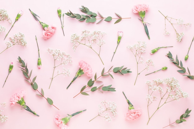 Flowers and eucalyptus composition made of various colorful flowers on white background. Flat lay stiil life.