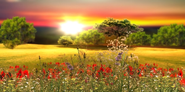 flowers on field in forest beautiful summer nature landscape