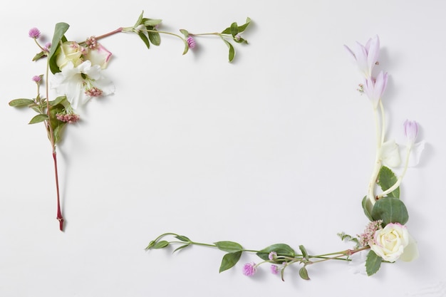 flowers frame in white table isolated