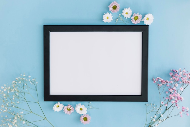 flowers frames