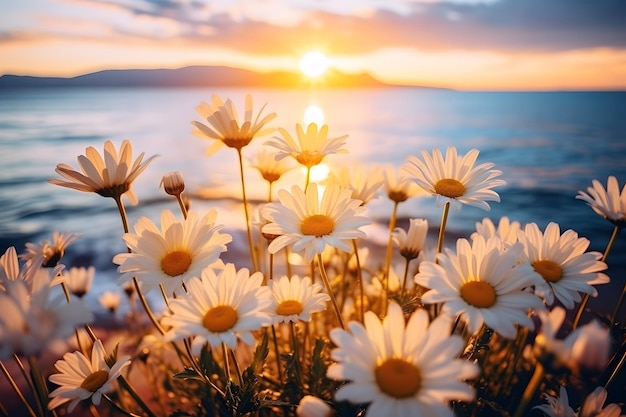 flowers in front of a sunset with the sun setting behind them