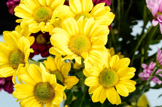 flowers in the garden, field flower