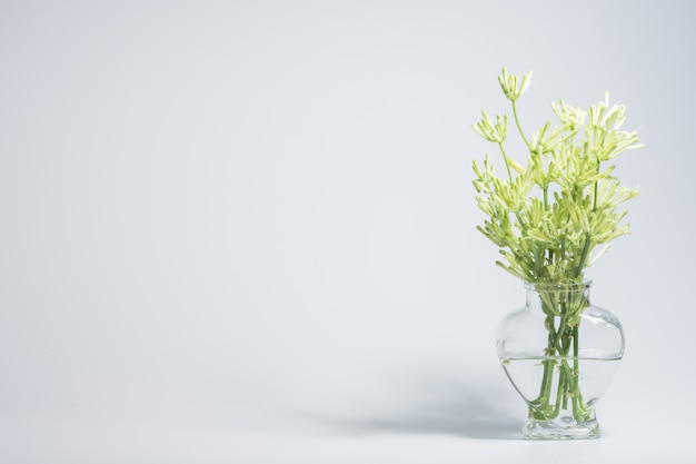 Flowers in a glass vase