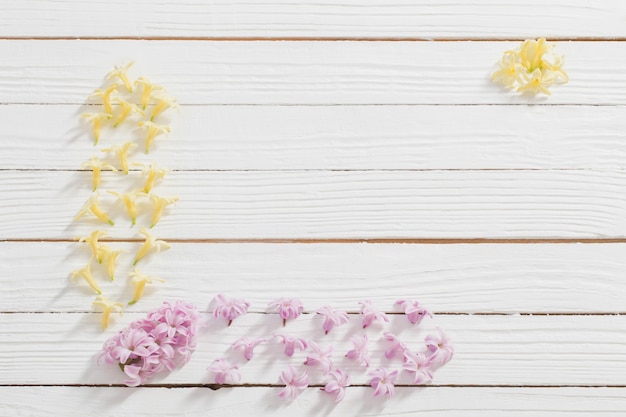 Flowers of  hyacinths on white wooden surface