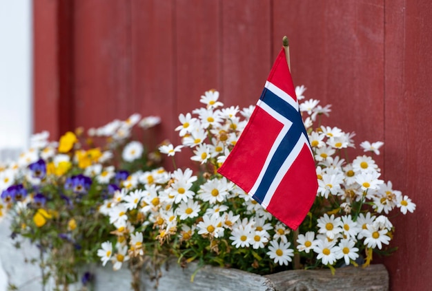 Flowers and Norwegian flag stock photo