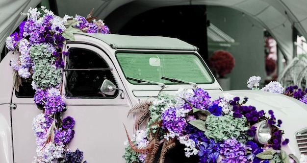 Flowers in old vintage car